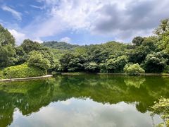 -柯岩风景区