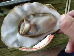 -晓伟海鲜家常菜