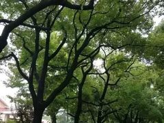 -棕榈岛海鲜自助餐厅(虹桥迎宾馆店)