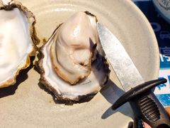 -千岛蚝高压锅生蚝·人参火锅(白云万达店)