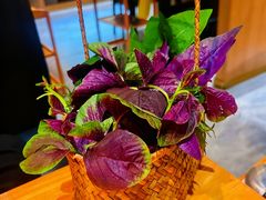-一朵菌·野生菌探索家火锅(南亚店)