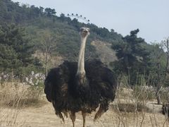 -山西乌金山旅游区