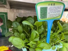 -清真军邺·金富苑肥牛(石坡街旗舰店)