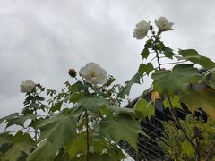 -中国移动南方基地