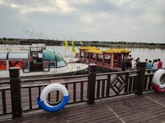 -南大港湿地风景区