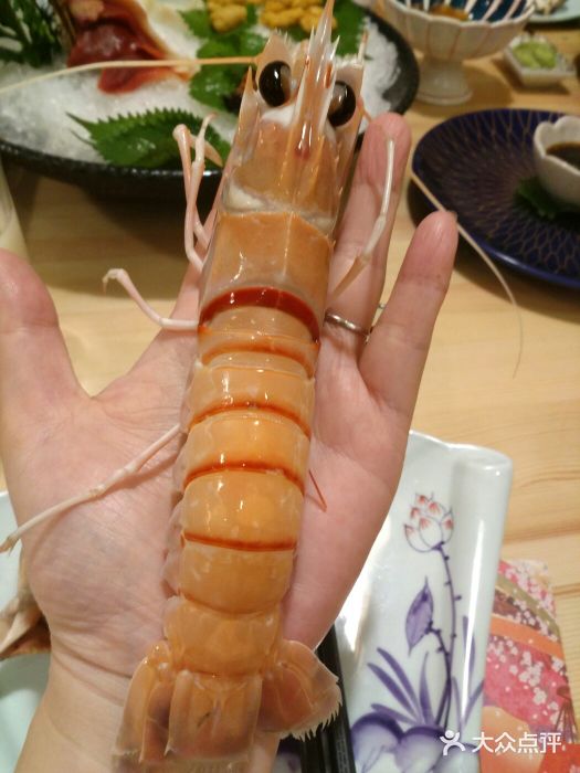 toshima丰岛日本会席料理(环球港店)特大1号螯虾图片