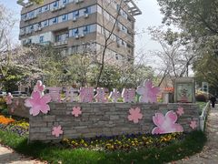-高东镇樱花园