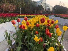 -南山植物园