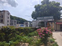 -湘力力小院·鱼汤泡饭(枫林路店)