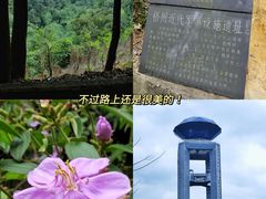 -正哥点心皇子(旺城广场店)