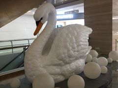 -嘉悦丽格眼科(丰联广场店)