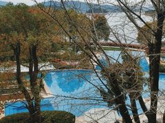 -逸廊大堂吧-下午茶·简餐-千岛湖自由洲际殿