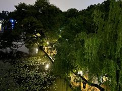 -湖畔居茶楼(湖滨店)