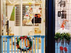 -有喵·猫咖·狗咖·30几只猫10只小狗(岗厦店)