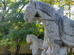 -鲁土司衙门旧址