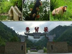 -牛背梁国家森林公园
