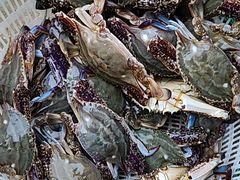 -渔民船说·北塘海鲜·天津菜·海肠捞饭(北塘古镇店)