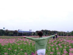 -映月湖中央公园