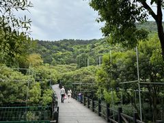 -树山生态村