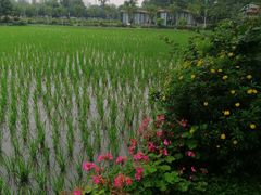 -洪湖家庭农场·团建·露营·会议