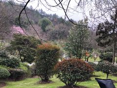 -峙山公园