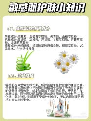 -凡碧诗毛孔清洁收细