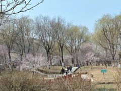 -河北省园博园