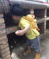 -上美四季动物农场