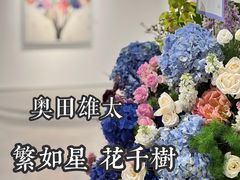 -华氏画廊