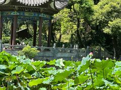 -古隆中景区