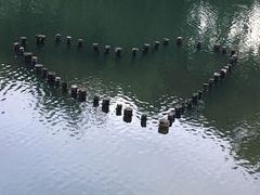 -映月湖公园