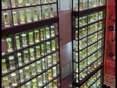 -广东中医药博物馆