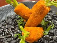 -丁老爷子苏香圆