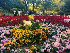 -共青国家森林公园-售票处