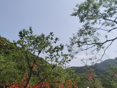 -世间香境·七溪地