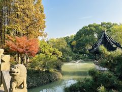 -上海醉白池公园