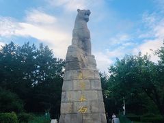 -帽儿山国家森林公园