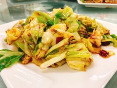 酱爆洋白菜-渔民船说·北塘海鲜·天津菜·海肠捞饭(北塘古镇店)