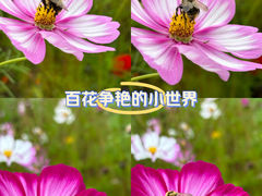 -五当召景区