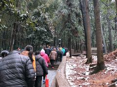 -灵岩山风景区