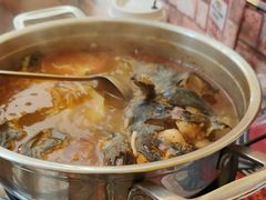 -弘烨 贵州酸汤 鱼火锅(东财店)