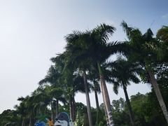 -深圳野生动物园