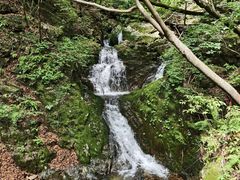 -本溪汤沟绿石谷森林公园