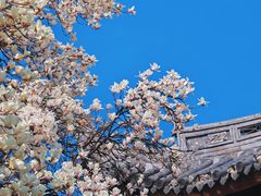 -龙华寺