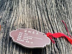 -中岳庙