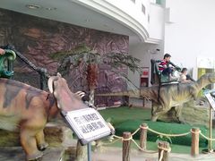 -陕西自然博物馆