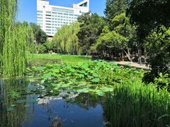 -莲湖公园