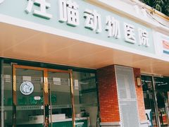 -汪喵宠物医院·骨科心脏影像·犬猫急重症ICU诊疗中心(成华分院)