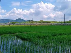 -光明小镇欢乐田园
