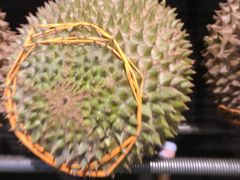 -都念榴莲·城市榴莲